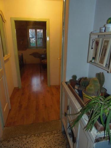 Holiday house with a parking space Pula - 13024 - image 4