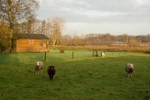 Vakantie Meerlo