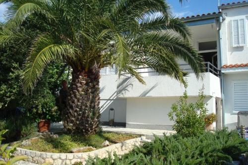Apartment in Petrcane 