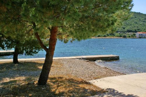 Apartments by the sea Luka Dubrava Peljesac - 13632 - image 8