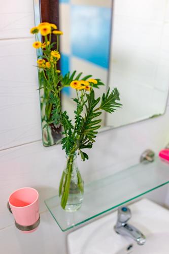 マイ ホーム ゲスト ハウス