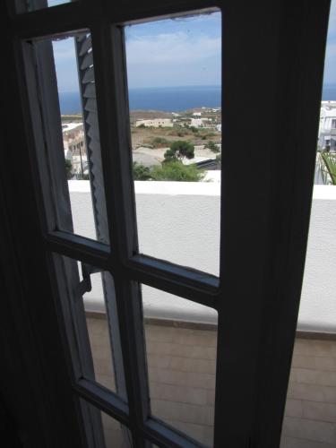 Villa Garden - image 4
