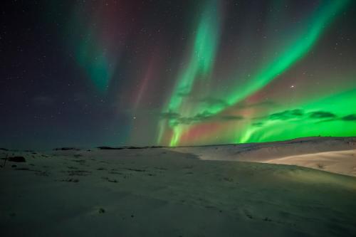 Hotel Gullfoss - image 11