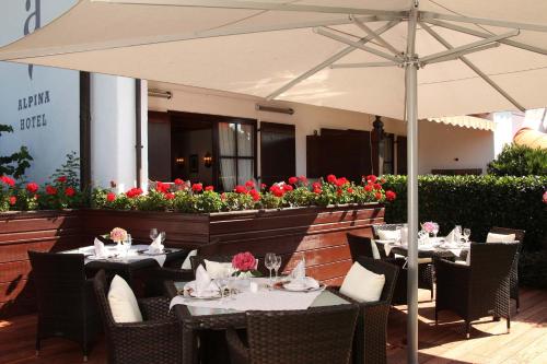 Hotel Alpina - image 2