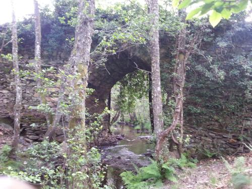 Apkārtne, Casa rural Rosita in Manzanal de Arriba
