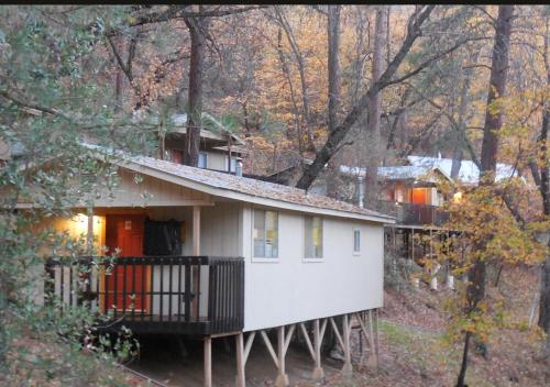 Yosemite Bug Rustic Mountain Resort - image 11