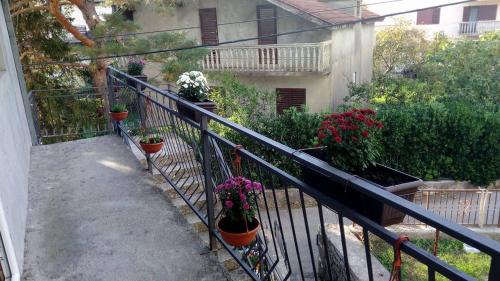

Adriatica Rooms