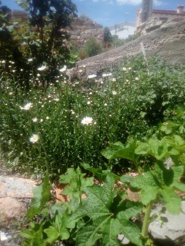 A környék, Casa Alhambras in Sarrion