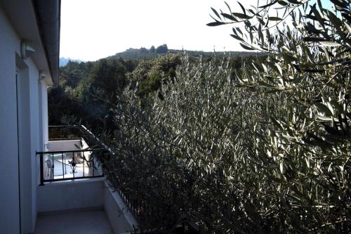  Apartment Uvala Pokrivenik 2073g in Zastražišće
