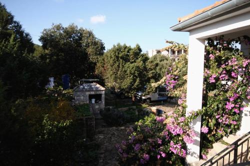  Apartment Uvala Pokrivenik 2073b in Zastražišće
