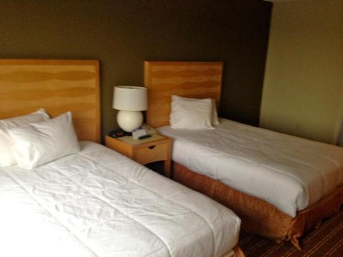 The Avalon Hotel and Conference Center - image 4