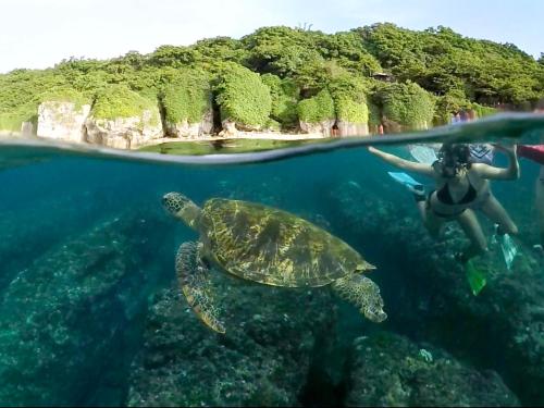 Stay Liuqiu Diving Hostel - 스포츠&체험활동