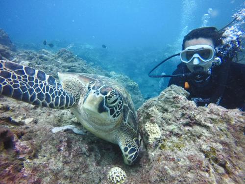 Stay Liuqiu Diving Hostel - 스포츠&체험활동