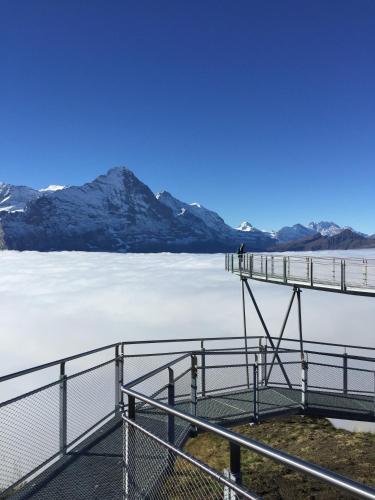 Berggasthaus First - Only Accessible by Cable Car