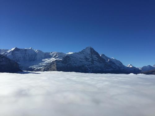 Berggasthaus First - Only Accessible by Cable Car