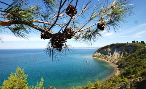 Apartment in Villa, near Piran