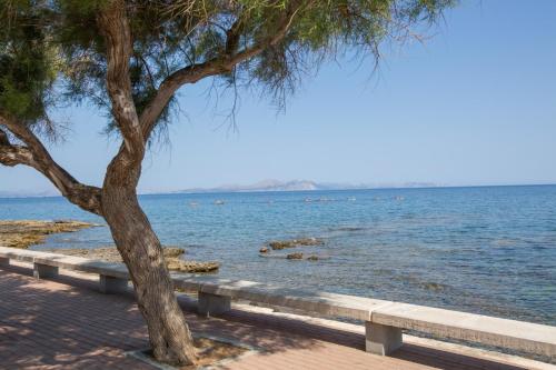 Tres Pins - image 12