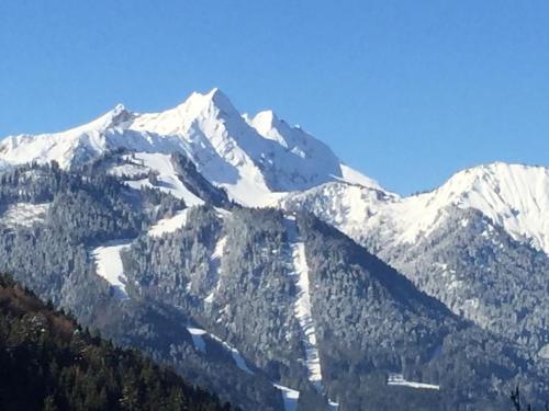 Chalet Fleur des Neiges