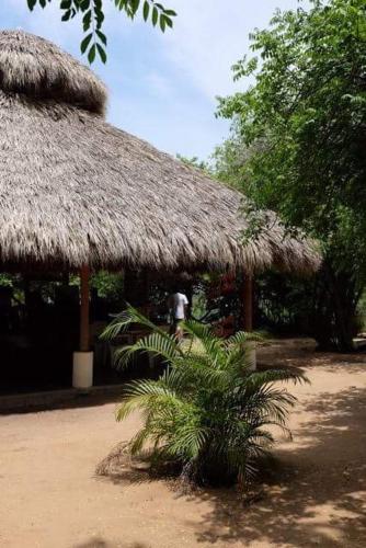 Mondala Hostal Carrizalillo – Puerto Escondido, AR