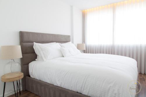 Oporto Ceuta Residences - Residence 8 by We Do Living, Porto (fotografie 2)
