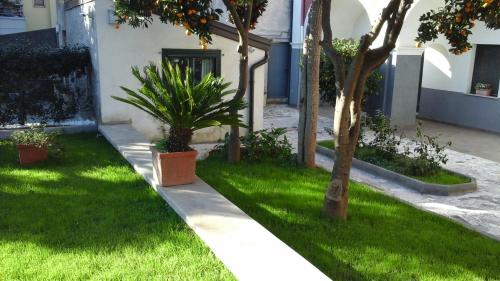 La magnolia B&B La magnolia B&B