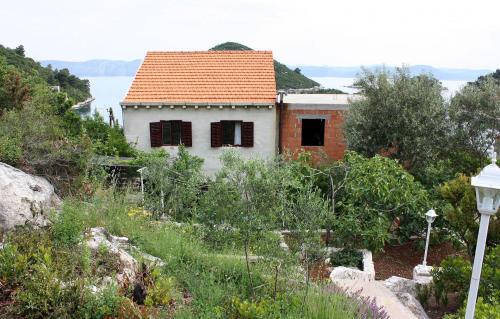 Apartments by the sea Prozurska Luka Mljet - 4939 - image 6
