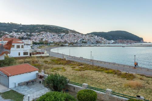 ANTONIOS Skopelos studios apartments - Apartment - Skopelos Town