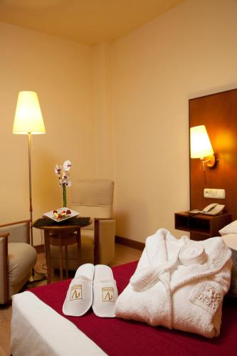 Vincci Ciudad de Salamanca - main image