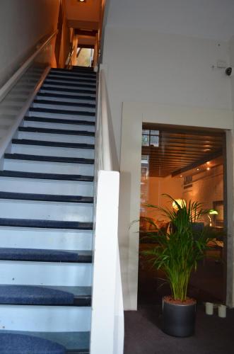 Rembrandtplein Bed & Breakfast - image 13