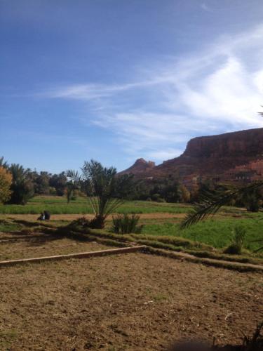 棕榈树宾馆 棕榈树宾馆