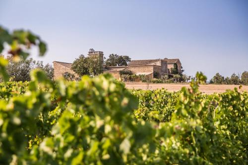 Domaine Sainte Suzanne - Chambre d'hôtes - Puimisson