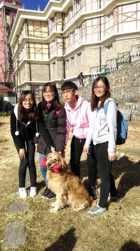 The Thistle Lodge – Shimla, PA