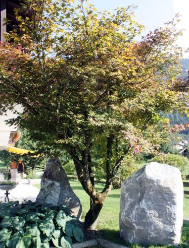 Appartement Mühle - image 8