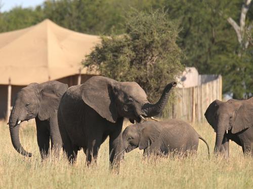 One Nature Nyaruswiga Serengeti