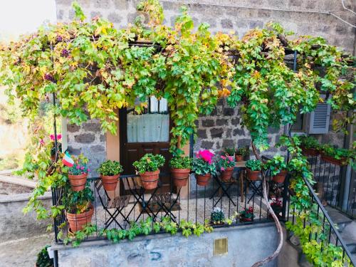  Renaissance Boutique House, Pension in Ronciglione