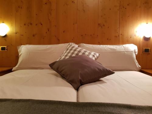 Hotel Cima Piazzi - image 11