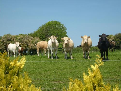 Seafield Farmhouse