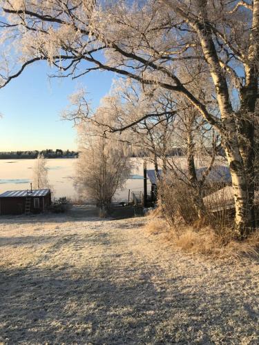 Riverside Cottage Aalto Borealis