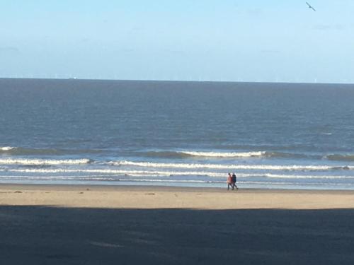 Seaview 2