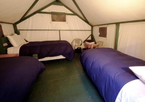 Non-Heated Tent Cabin - Dog Friendly