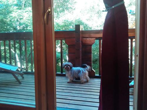 Chalet bois au milieu des Pyrénées (Chalet bois au milieu des Pyrenees) in L'Hospitalet-Pres-L'Andorre