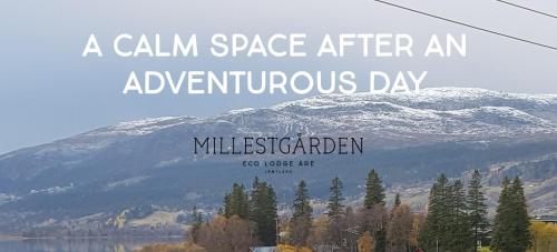 Millestgården Eco lodge - image 13
