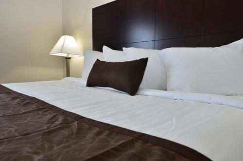 Cornerstone Inn & Suites Oelwein in Oelwein, USA