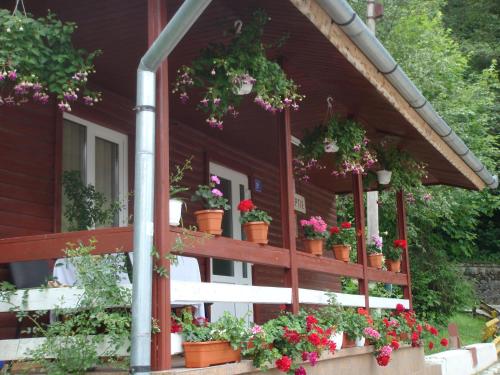 Motel Cristina - image 12