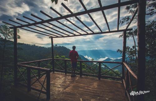 After the Rains - Rainforest Lodge