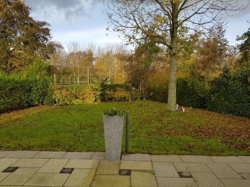 Strand 12, Scharendijke (photo 4)