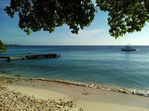 沙灘, Great View Villa Galant Curacao in 威利布羅德