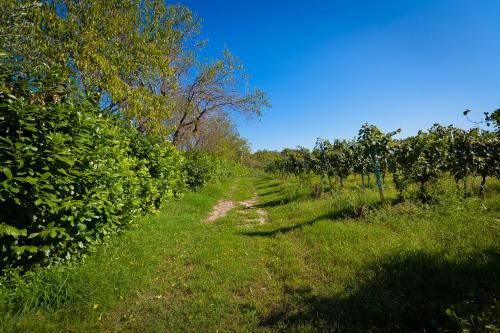 Agriturismo con Cucina tipica Nuova Scardua