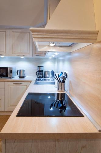 Modern Apartment Charvátova - image 7