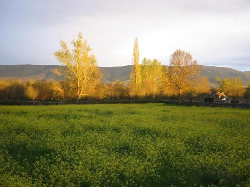 Estudio rural Estrella Polar III